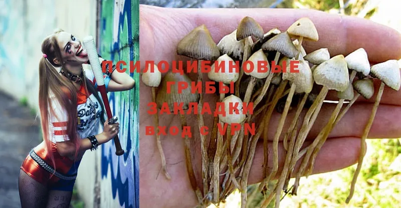 Галлюциногенные грибы Magic Shrooms  Верхний Уфалей 